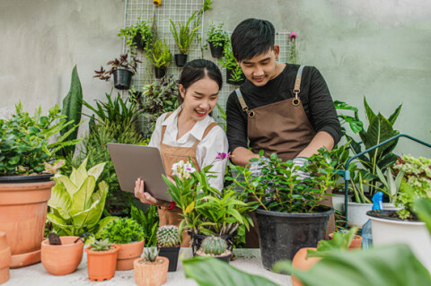 Cần tìm hiểu những gì trước khi kinh doanh cây kiểng