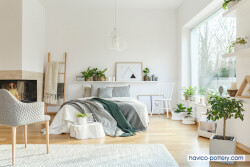 Lợi ích, cách chăm sóc các loại cây để trong phòng ngủ