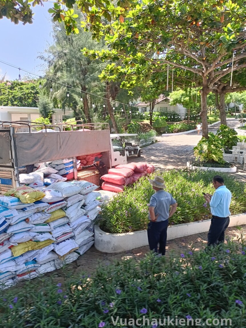 z3875507283396_5f2ada19945c54d250e017d5d2668e9b z3875507283396_5f2ada19945c54d250e017d5d2668e9b