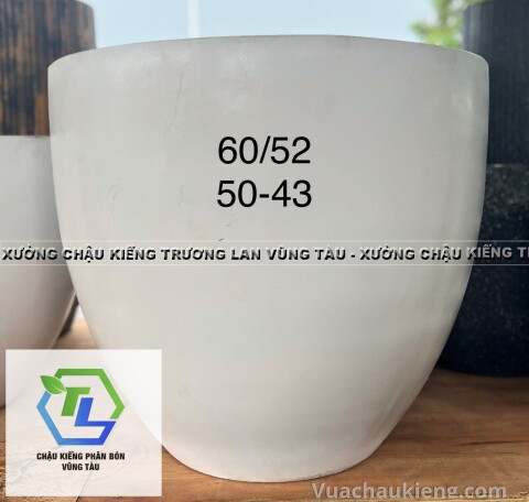 Chậu Đá Mài Chivas