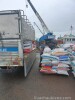 Phân Bón Cây Cảnh_12